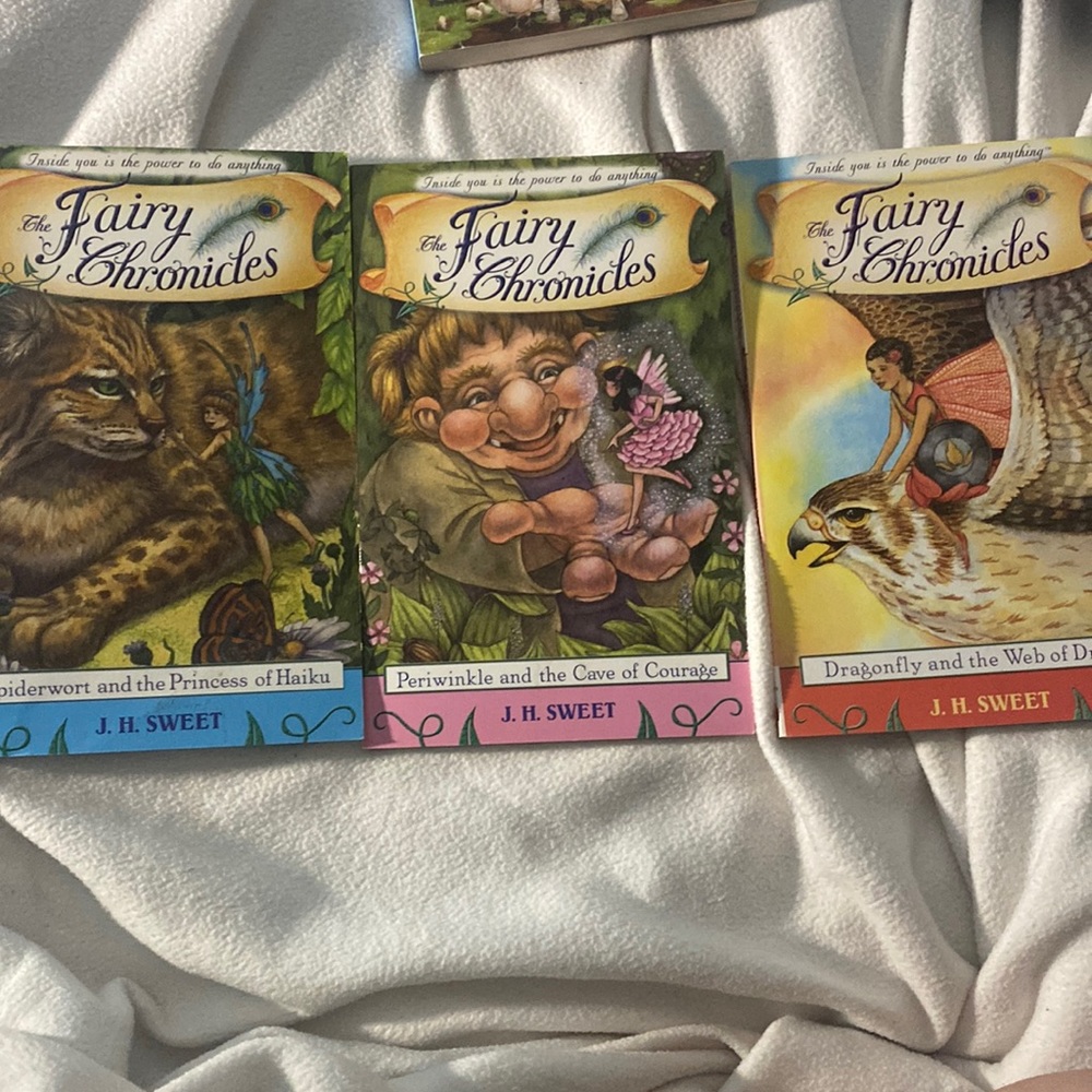 The fairy chronicles book